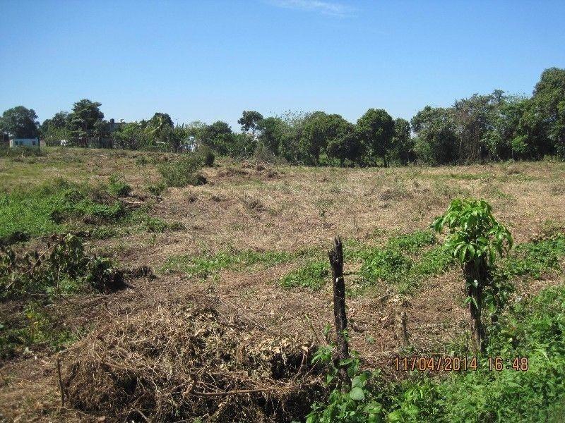 Terreno,Estanzuela Parrilla