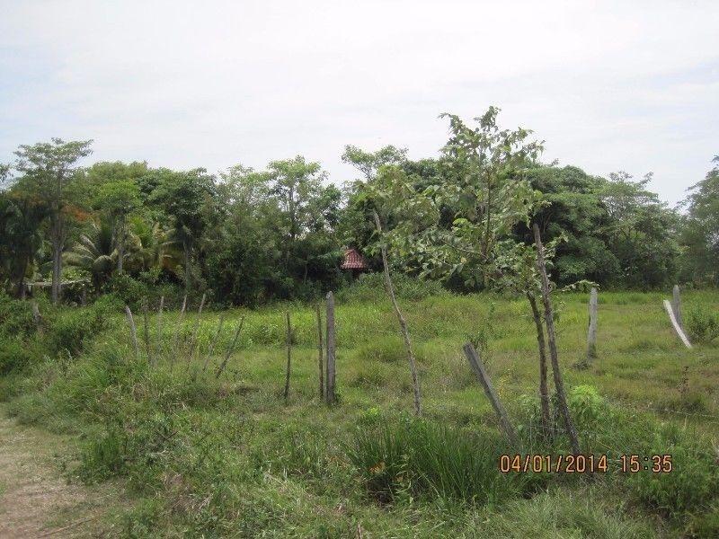 Terreno, Coronel Tráconis